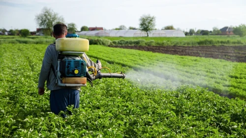 Yaygın tarım ilaçları erkek doğurganlığını tehdit ediyor