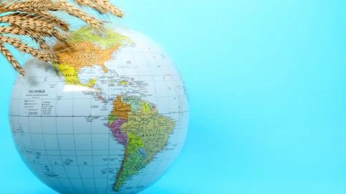 Dünyada gıda fiyatları neden yükseliyor? FAO’dan dikkat çeken Eylül verisi
