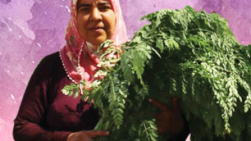 Türkiye'nin moringa üreticisi dünyanın 100 kadın kahramanı arasında!