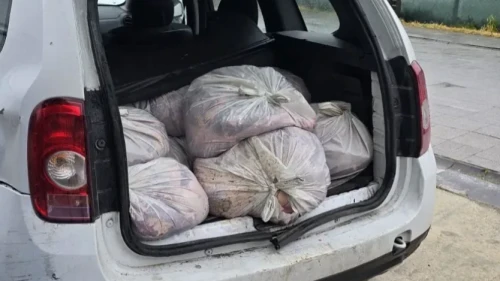 Çatalca’da at çiftliğine at eti operasyonu