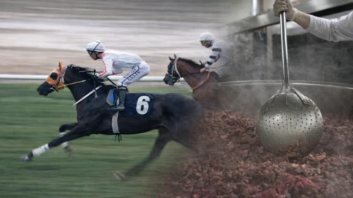 Şampiyon yarış atı kavurma oldu!