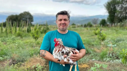 Köyüne döndü, Tokat yaprağını tüm Türkiye’ye gönderiyor