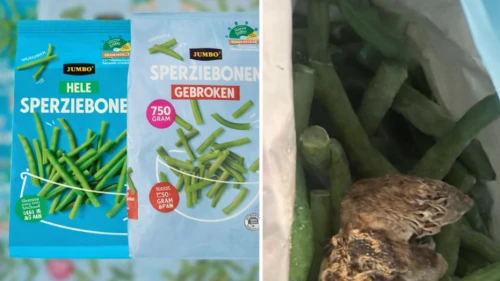 Dondurulmuş fasulyelerde fare skandalı; Fasulyeler toplatılıyor