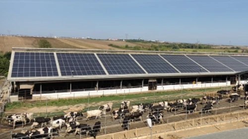 Tarım tesislerindeki GES'ler için yeni düzenleme: Gece elektriğine ödeme dönemi