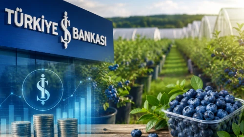 İş Bankası’ndan yaban mersinine büyük yatırım