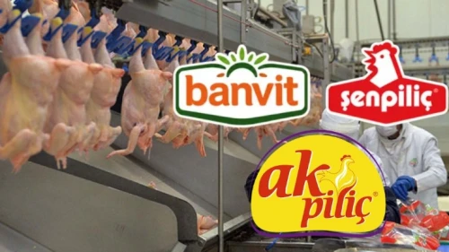 Denetim kayyumuna mahkemeden ret; 4 piliç firmasına kayyum atanmıyor
