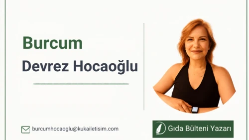 İklim krizi çikolatayı değiştirmeye başladı; Kakaosuz çikolataya doğru..