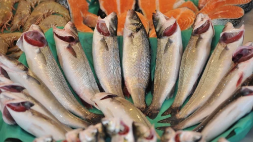Türk levreği ihracatta rekor kırıyor: Denizdeki 1,5 milyar dolarlık protein