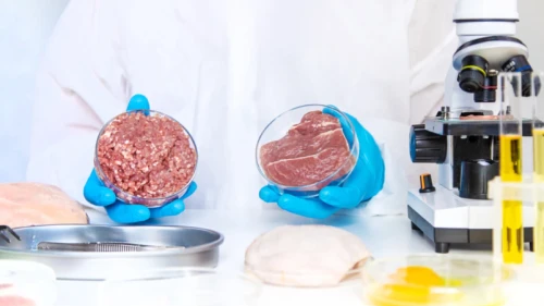 Protein oranı nasıl hesaplanıyor; Protein oranı en yüksek besinler neler?