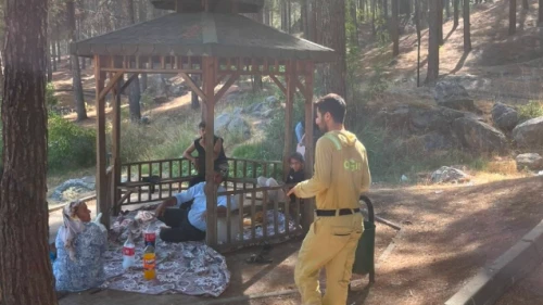 Ormana yaklaşmak yasaklandı; Park edip mola vermek de yasak!