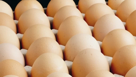 'Her 10 organik yumurtadan 7'si Türkiye'den'