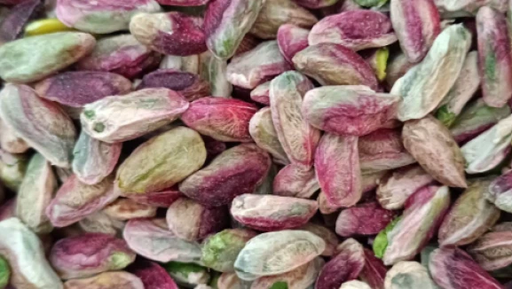 Fıstığın kilosu 600 TL ama çiftçiye asgari ücret bile kalmıyor! İşte üreticinin hesabı