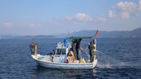 Balıkçılık desteği başvuruları başladı; Destekleme rakamları belirlendi!