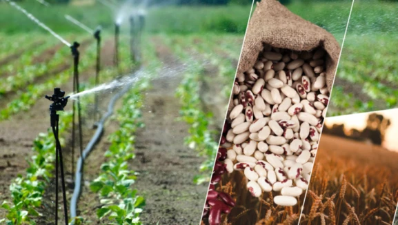 Tarım desteği için icmal itirazlarına dikkat