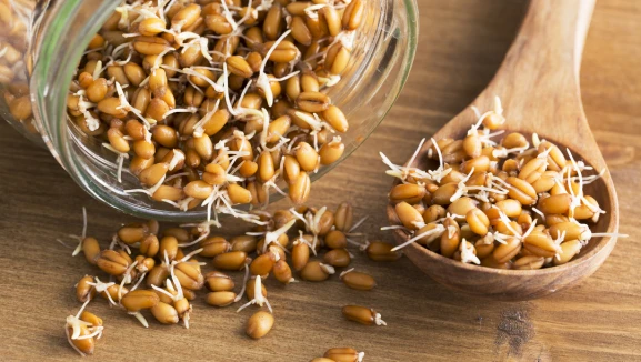 Filizlenmiş tahıllar neden daha sağlıklı?