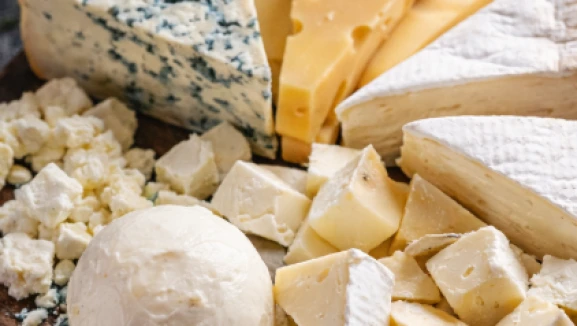 Türk süt ürünleri için yeni pazar: Güney Afrika’ya ihracat yolu açıldı