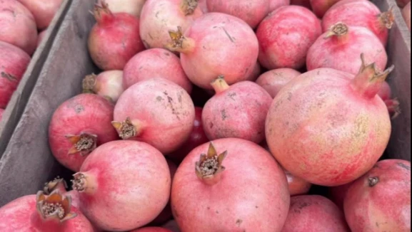 İhraç narda 5 farklı tarım zehri!