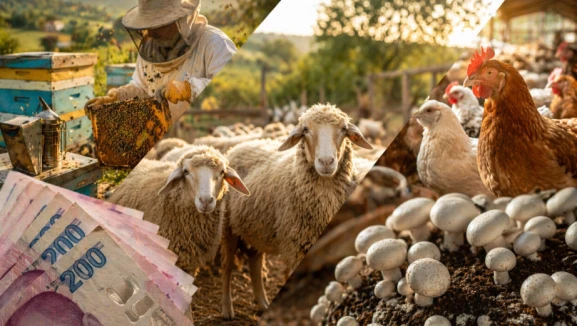 Arıcılığa, mantar yetiştiriciliğine, hayvancılığa 30 milyona kadar hibe