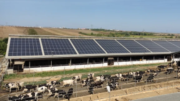 Tarım tesislerindeki GES'ler için yeni düzenleme: Gece elektriğine ödeme dönemi