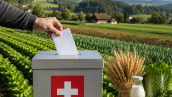 İthal gıda halkı ikiye böldü; Referandumda "evet" kazanırsa her şey değişecek!