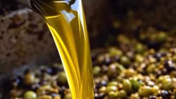 Acı zeytinyağı neden iyidir; Boğazınızı yakan zeytinyağı tadı aslında ne anlatıyor?