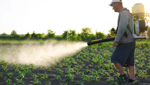 Çiftçiler için pestisit alarmı: Her yıl 400 milyondan fazla zehirlenme vakası