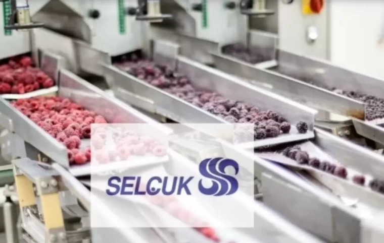 Borsada en çok kazandıran gıda içecek şirketleri hangileri? 2