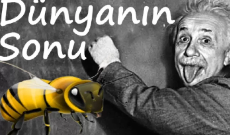 Dünya Arı Günü.. Einsetin arı teorisi hurafe mi gerçek mi? 5