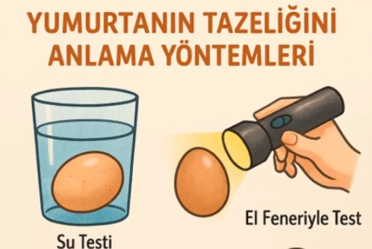 Yumurta taze mi bayat mı nasıl anlaşılır? İşte yumurta tazelik testi! 3