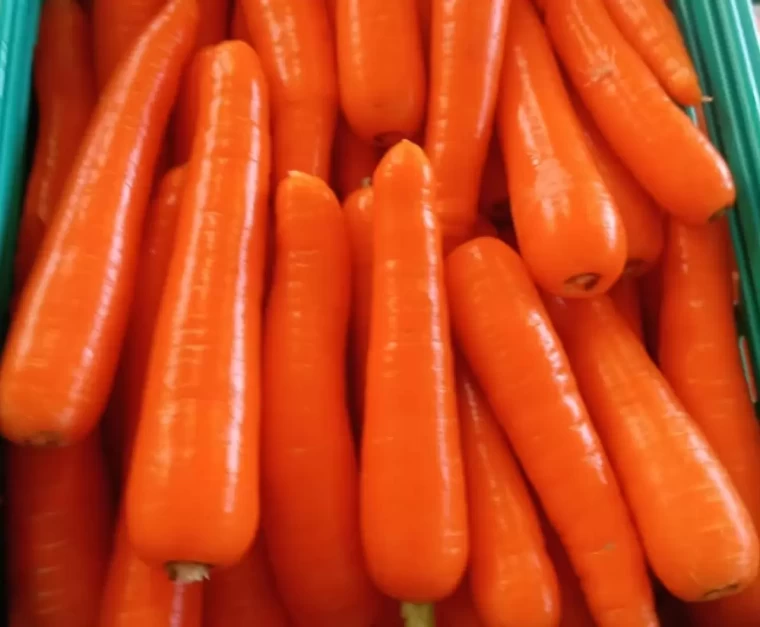 Karpuzu yetiştiren değil satan kazandı! 5