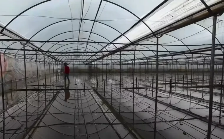 Seralar ve fidanlıkları hortum ile sel vurdu; sebze fiyatları daha da artacak 1