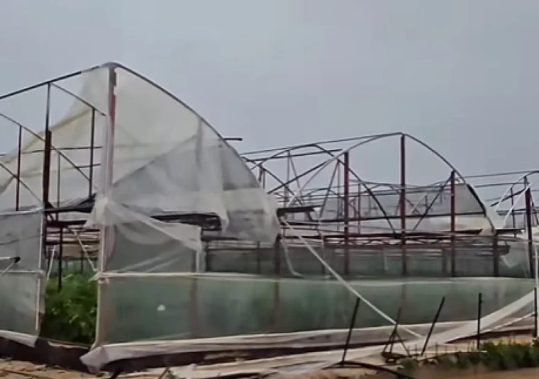 Seralar ve fidanlıkları hortum ile sel vurdu; sebze fiyatları daha da artacak 5