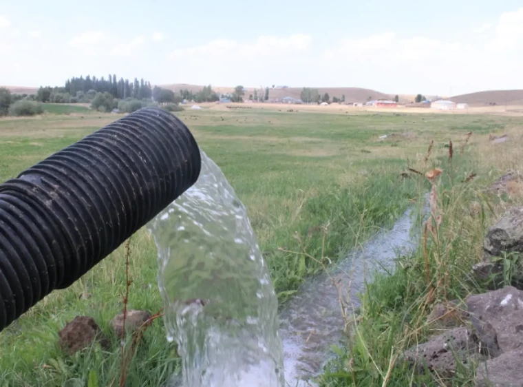 Bir tabak yemeğin gizli maliyeti: Hangi gıda ne kadar su tüketiyor? 1