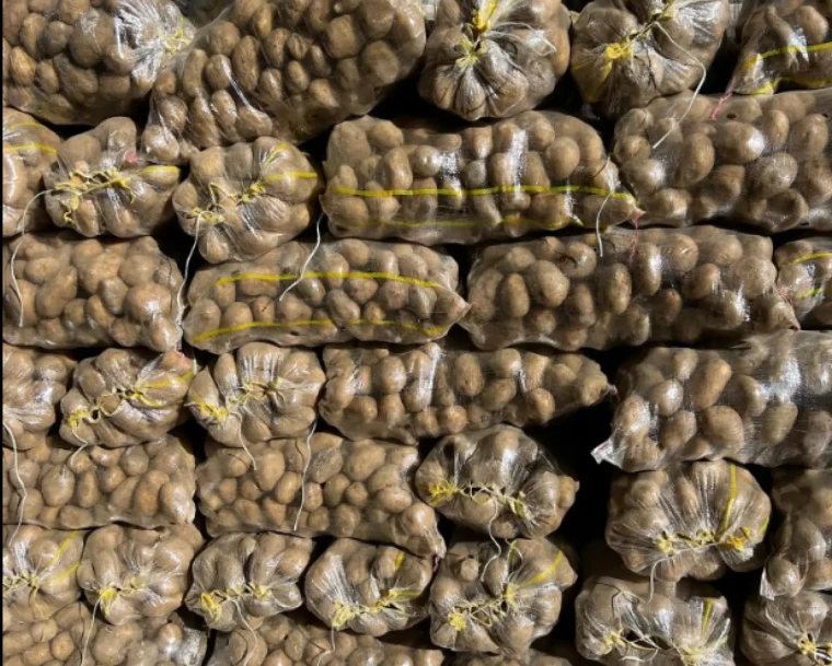 Bir tabak yemeğin gizli maliyeti: Hangi gıda ne kadar su tüketiyor? 5