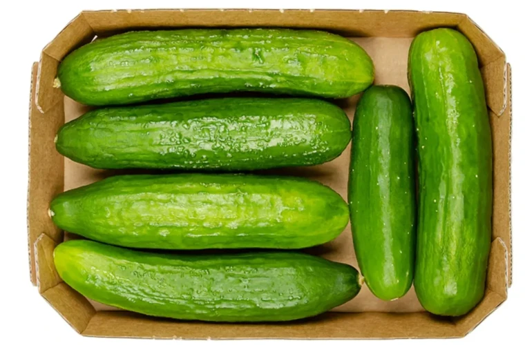 Bir tabak yemeğin gizli maliyeti: Hangi gıda ne kadar su tüketiyor? 9