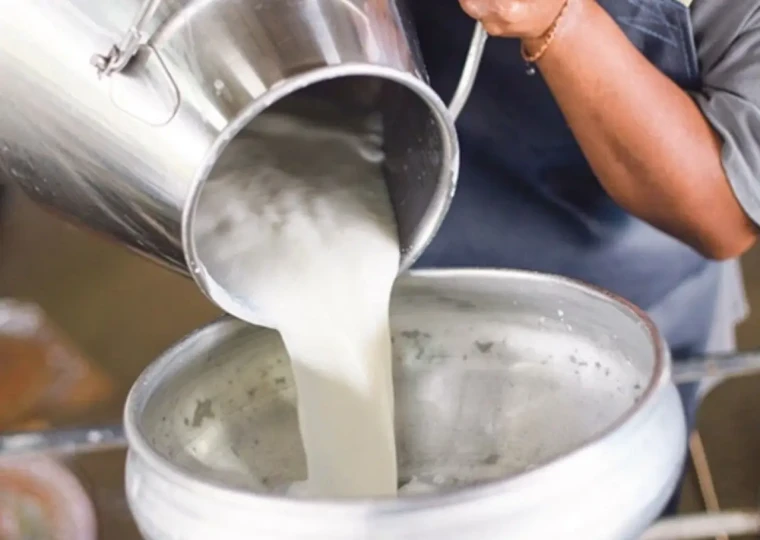 Bir tabak yemeğin gizli maliyeti: Hangi gıda ne kadar su tüketiyor? 11