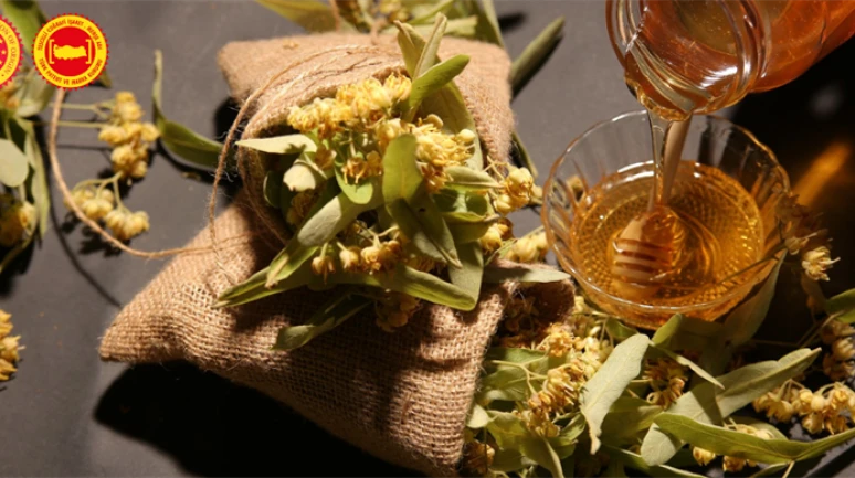 Yenice ıhlamur balına AB’den coğrafi işaret tescili