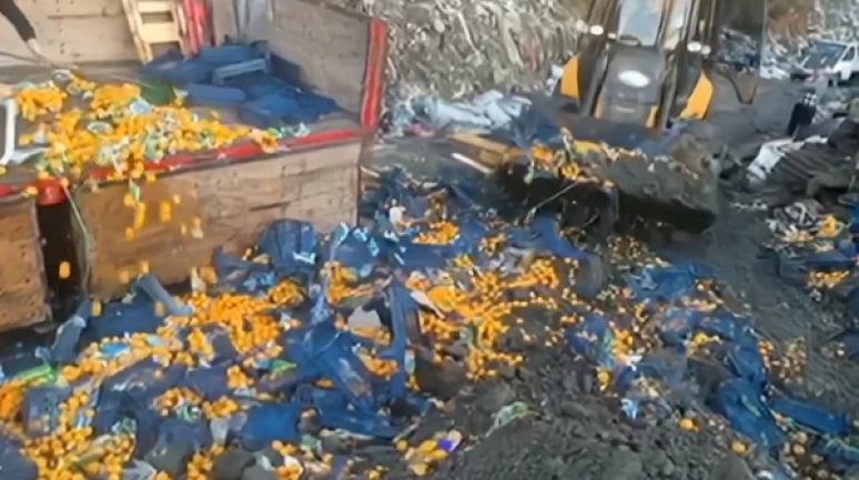 Zehirli mandalinalar sınırda yakalandı