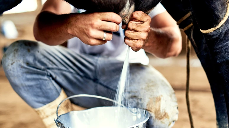 Çiğ süt fiyatında yeni rakam belirlendi; TÜSEDAD tavsiye fiyatı açıkladı