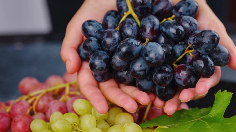 Üzümümüz İngiltere'de manşet oldu.. Ama tarım zehri nedeniyle!