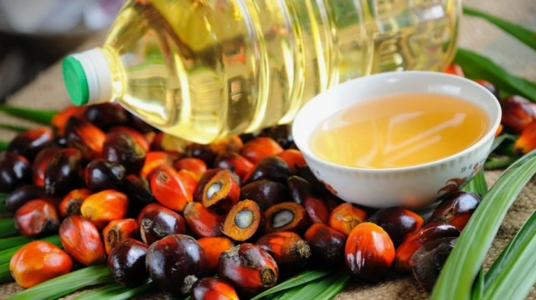 Palm yağında kanserojen bileşene sıkı denetim; hepsi kontrolden geçecek!