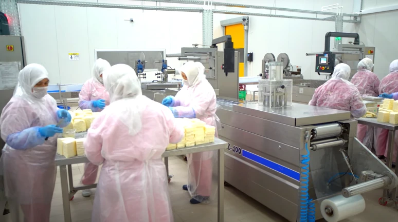 Ünlü kefir markasından pay satışı; Tera Portföy'e satılıyor