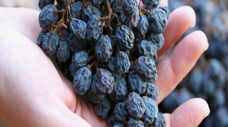 Üzümümüz İngiltere'de manşet oldu.. Ama tarım zehri nedeniyle!
