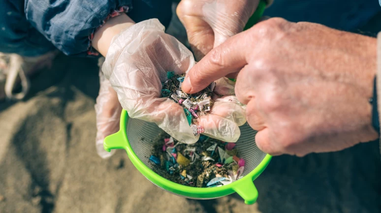 Cam şişelerdeki içecekler plastiklerden daha fazla mikroplastik taşıyor