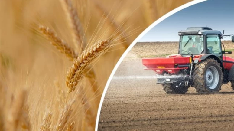 Buğday alım fiyatına tepki: Biri 6 kat biri 600 kat arttı