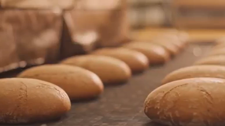 Tam buğday ekmeği kamyanyası mayalı ekmeğin ana vatanından başladı