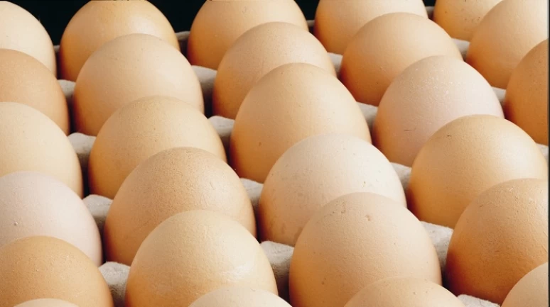 Yumurtada 1,5 dolarlık kesinti sona erdi
