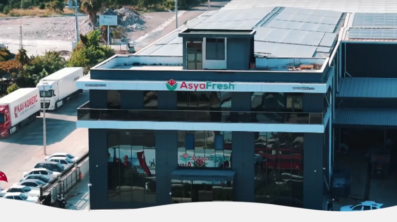Yaş meyve devi konkordato ilan etti.. Rusya'ya tonlarca meyve gönderiyordu