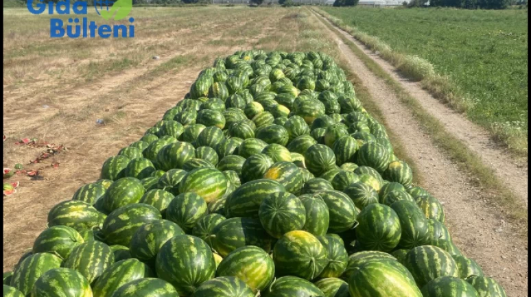 Yok böyle bir fiyat farkı.. Meyve sebze tarlada ne kadar tezgahta ne kadar?