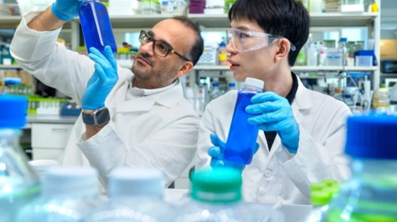 Sentetik boyaların yerini alacak alglerden sağlıklı alternatif geliştirildi